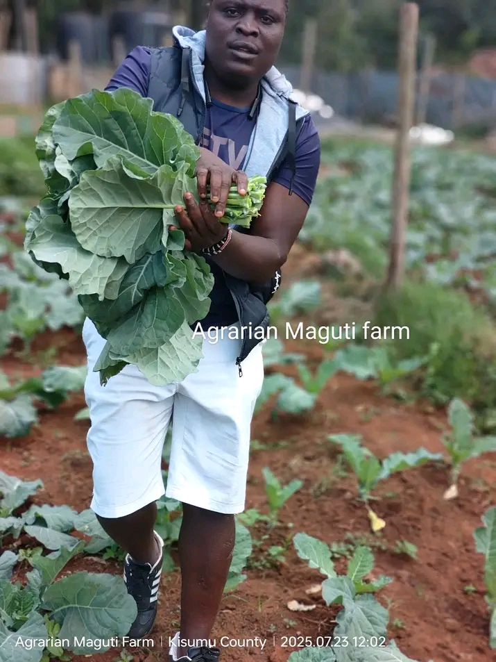 Farm